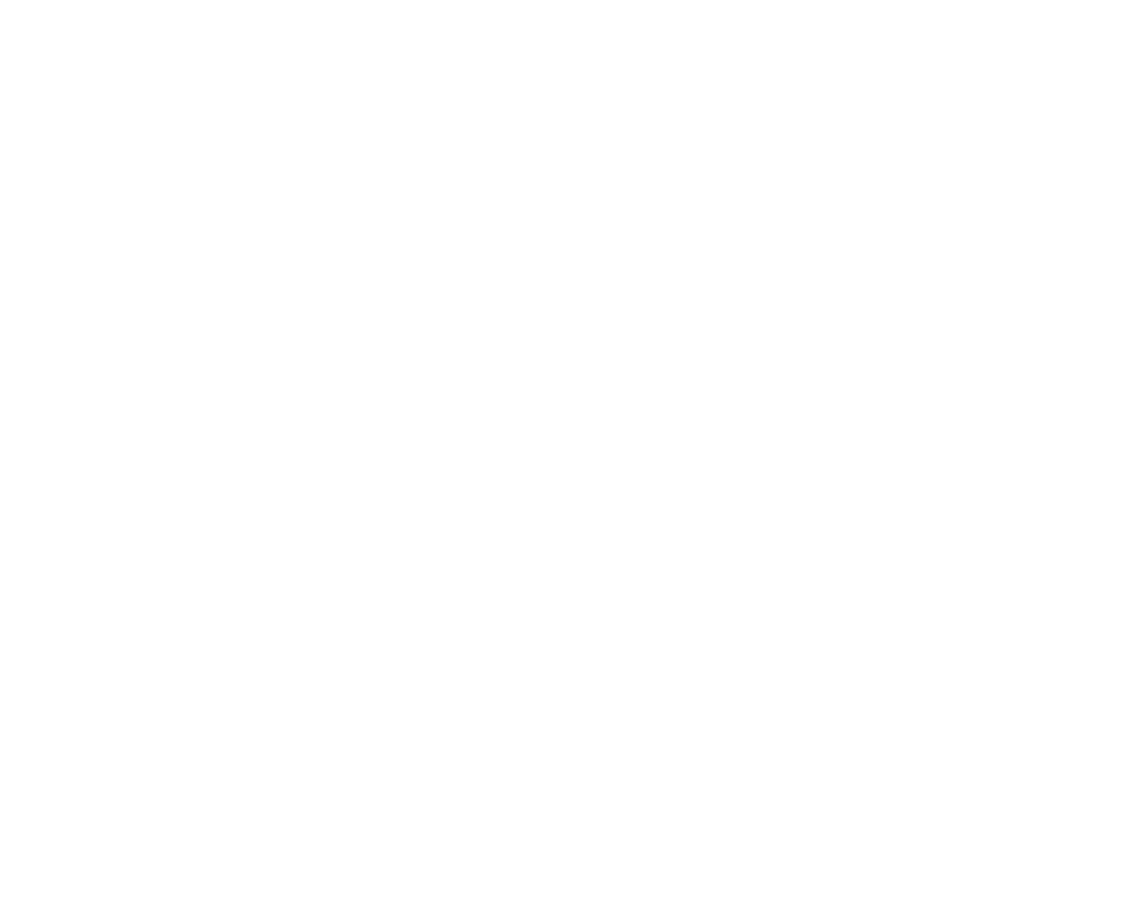 MISS CHARM
